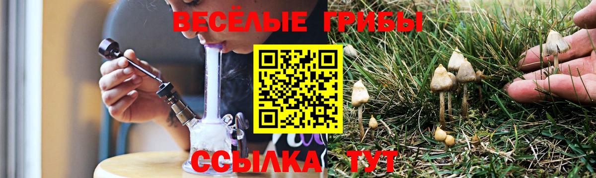 Тольятти  Галлюциногенные грибы Magic Shrooms  Вход с VPN  Галлюциногенные грибы мухоморы 