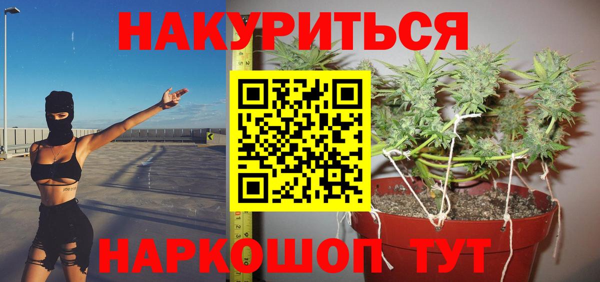 Конопля Bruce Banner  Каннабис планчик  Вход с VPN  Марихуана VHQ  Марихуана Amnesia  Тольятти 